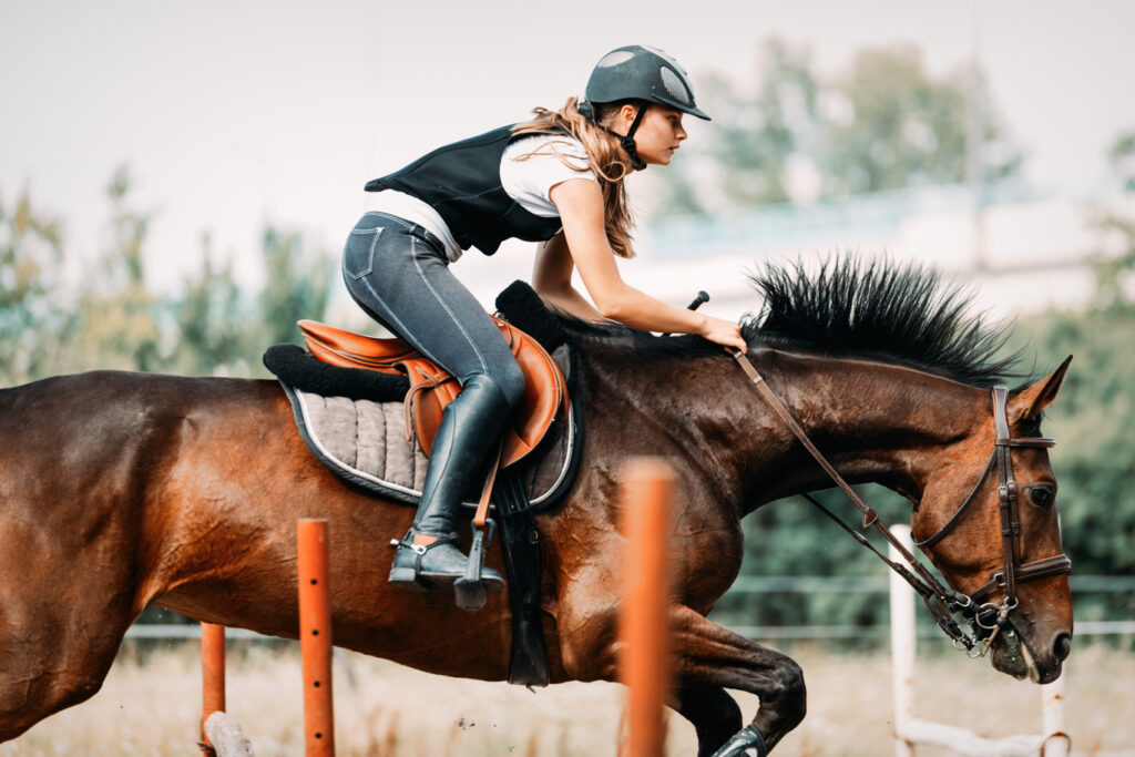 Responsabilidad civil en accidentes hípicos: derechos y deberes del jinete