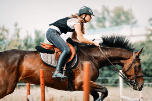 Responsabilidad civil en accidentes hípicos: derechos y deberes del jinete